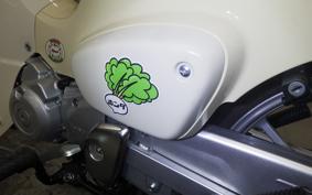 HONDA C110 SUPER CUB