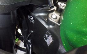 KAWASAKI NINJA 1000 A 2020 ZXT00W