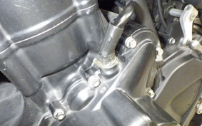 TRIUMPH STREET TRIPLE 2009