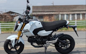 HONDA GROM JC92