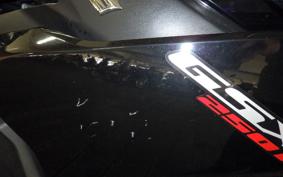 SUZUKI GSX250 R