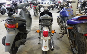 HONDA LITTLE CUB C50