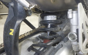 YAMAHA WR250R 2024 DG15J