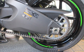 KAWASAKI NINJA ZX-6R 2025 ZX636G