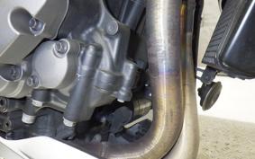 TRIUMPH SPEED TRIPLE RS 2021