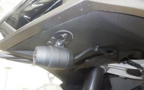 KAWASAKI NINJA 1000 SX 2024 ZXT02K