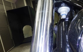HARLEY FXBB1750 2019