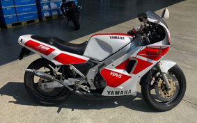 YAMAHA TZR250-1 1KT