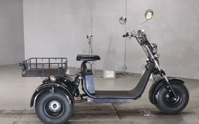 OTHER  BLAZE EV TRIKE  ..