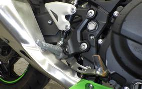 KAWASAKI NINJA 250 2 2022 EX250Y