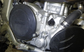 YAMAHA WR250R 2021 DG15J