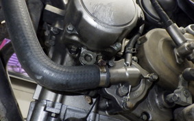 HONDA HORNET 250 2025 MC31