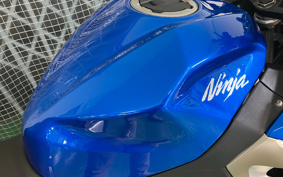 KAWASAKI NINJA 250 EX250P