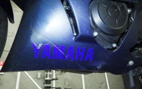 YAMAHA YZF R-3 2024 RH21J