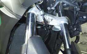 SUZUKI DL650 ( V-Strom 650 ) XTA 2019 C733A