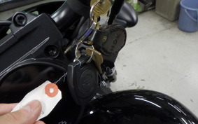 HARLEY RH975S 2023