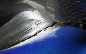 HONDA TACT-4ﾍﾞｰｼｯｸ AF79