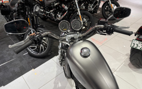 HARLEY XL1200R 2008 CV3