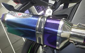 KAWASAKI NINJA ZX-6R A 2019 ZX636G