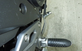 SUZUKI GSX250R 2024