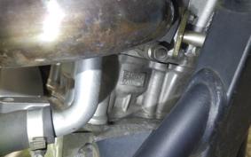 YAMAHA WR250X 2024 DG15J