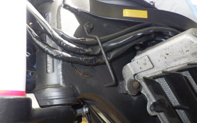 KAWASAKI KLX250D TRACKER X LX250V
