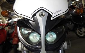 YAMAHA TT250R 4GY