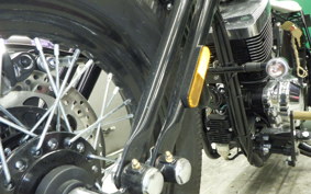 OTHER THUNDER250