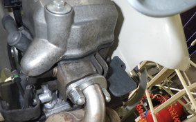 HONDA LITTLE CUB 2020 AA01