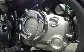 HONDA MONKEY 125 JB03