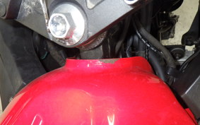 KAWASAKI NINJA 250 ABS 2022 EX250L