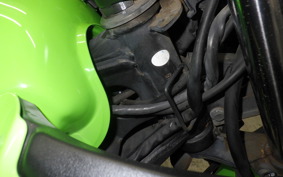 KAWASAKI NINJA 250R 2000 EX250K