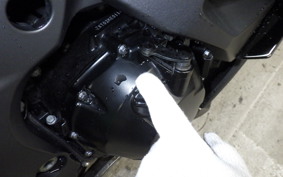 KAWASAKI NINJA 1000SX 2021 ZXT02K