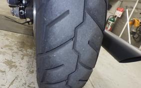 HARLEY XL883N 2017