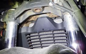 SUZUKI SKYWAVE 250 (Burgman 250) Gen.2 2009 CJ43A