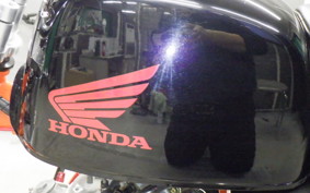 HONDA GORILLA 2026 Z50J