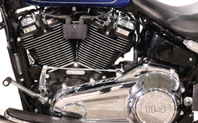 HARLEY FLFBS 2023 YGK