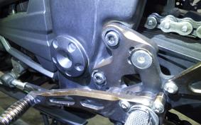 KAWASAKI NINJA 250 EX250L