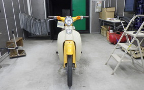 HONDA LITTLE CUB 2008 AA01