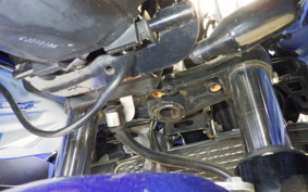 SUZUKI GSX250 R