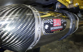 YAMAHA MT-09 ASP 2019 RN52J