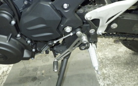 KAWASAKI Z250 Gen.2 2023 EX250Y