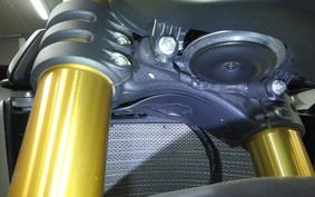 DUCATI STREETFIGHTER V4 S 2021