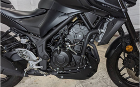 YAMAHA MT-25 RG74J