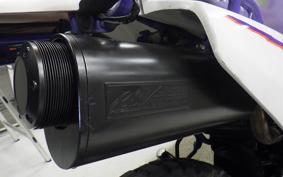 YAMAHA TT250R RAID 4GY