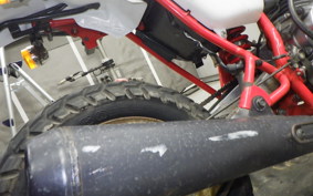 HONDA APE 50 2022 AC16