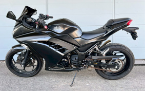 KAWASAKI NINJA 250 EX250L