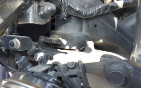 YAMAHA YZF-R25 1999 RG10J