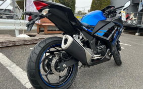 KAWASAKI NINJA 250 EX250L