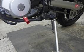 KAWASAKI KLX250D TRACKER X LX250V